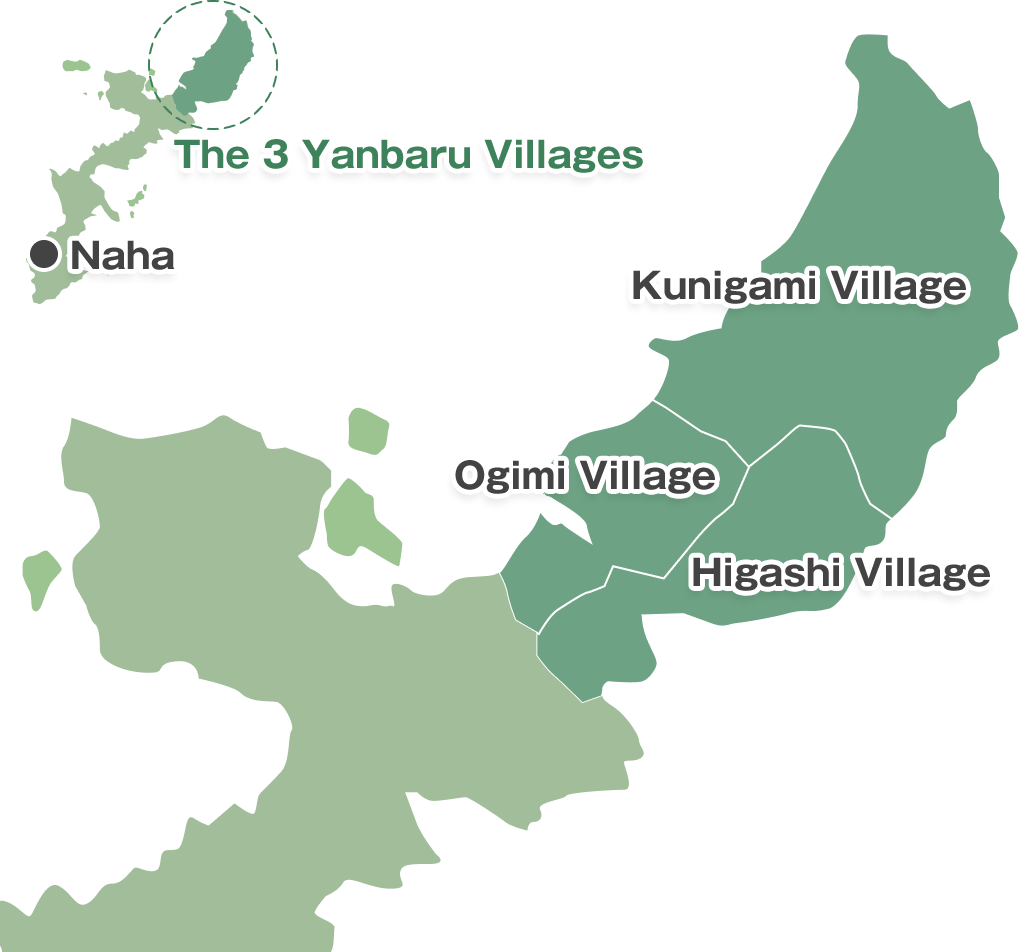 Ogimi Village: Gateway to the Yanbaru Area